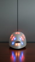 LED Facial Mask