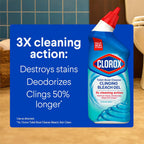 Toilet Bowl Cleaner Gel With Bleach – Disinfects And Deodorizes